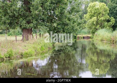 Niers, Wachtendonk, distretto di Kleve, Renania settentrionale-Vestfalia, Germania Foto Stock