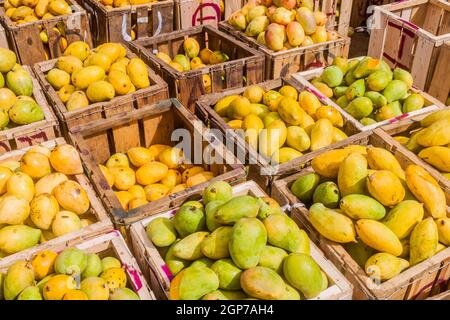 Box o mango al Manning Market di Colombo, Sri Lanka Foto Stock