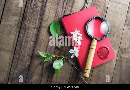 Foto di taccuino bianco rosso, lente d'ingrandimento, fiori di ciliegio e foglie verdi su sfondo di legno. Elementi di cancelleria. Foto Stock