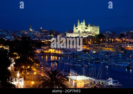 La vista migliore di Palma de Mallorca con la Cattedrale di Santa Maria di notte. Foto Stock