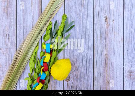 Decorazioni per Sukkot su fresco citron, etrog la festa ebraica Foto Stock