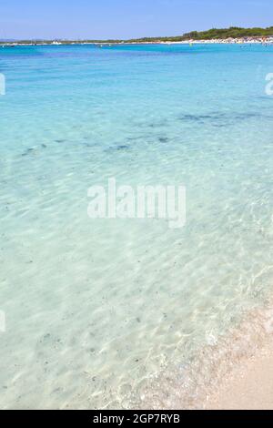 Spiaggia di sabbia chiara acqua di mare, Es Trenc, isola di Maiorca, SPAGNA Foto Stock