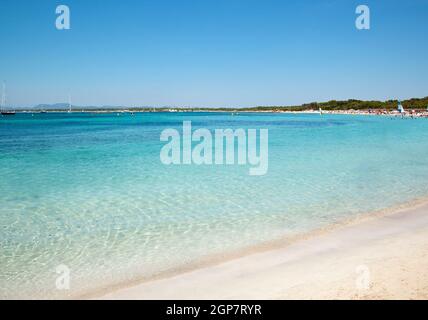 Spiaggia di sabbia chiara acqua di mare, Es Trenc, isola di Maiorca, SPAGNA Foto Stock