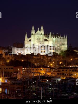 La vista migliore di Palma de Mallorca con la Cattedrale di Santa Maria di notte. Foto Stock