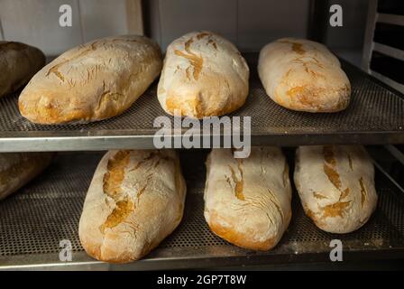 La produzione giornaliera di pane cotto con forno a legna con il metodo tradizionale. Foto Stock