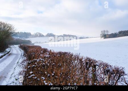 La neve copre le colline di Mundaydean, vicino a Marlow Foto Stock