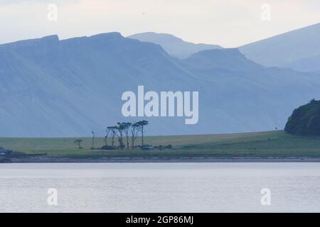 Spettacolari scogliere costiere scozzesi, parte di un telephoto paesaggio dietro un insolito mazzo di alberi sull'isola di raasay. Tonalità di colore blu e verde. Foto Stock