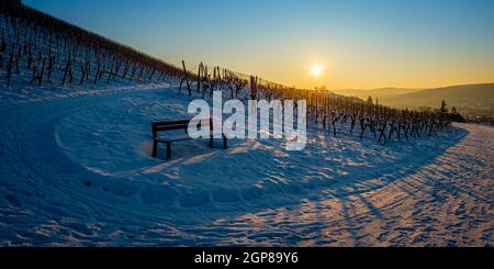 Panchina e strada in vigneto paesaggio neve invernale con sole retroilluminato Foto Stock