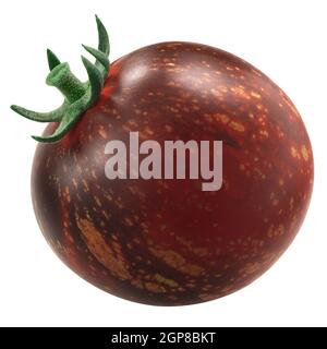 Pomodoro scuro Galaxy Heirloom, bicolore ricco di antociani, isolato Foto Stock