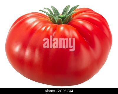 Pomodoro di bistecca di manzo (Solanum lycopersicum Fruit) isolato al primo apparire maturo Foto Stock