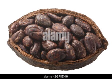 Cialda di cacao dimezzata con fagioli di cacao fermentati interi (frutti di cacao di Theobroma w semi) isolati, vista dall'alto Foto Stock