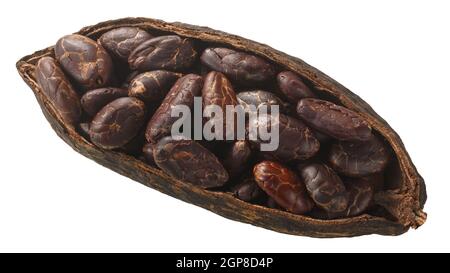 Cialda di cacao dimezzata con fagioli di cacao fermentati interi (frutti di cacao di Theobroma w semi) isolati, vista dall'alto Foto Stock