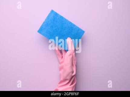 la mano femminile in guanto di gomma rosa tiene la spugna blu da cucina su sfondo viola, primo piano Foto Stock