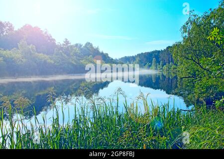 Alba mattina sul fiume. Meraviglioso paesaggio estivo. Il fiume è coperto di nebbia all'alba. La foresta si riflette nel fiume in estate Foto Stock