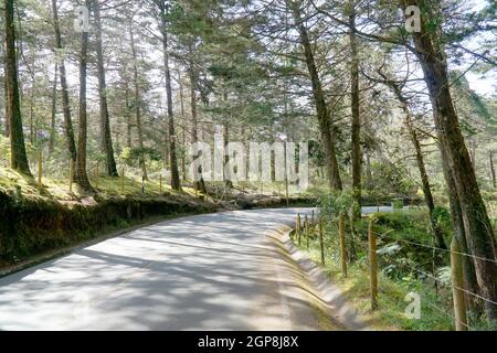 MEDELLIN, COLOMBIA - 21 luglio 2019: Una strada che conduce attraverso la foresta pubblica di Arvi a Medellin, Colombia Foto Stock