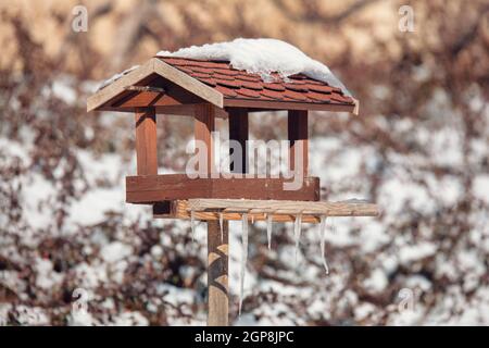 Legno artigianale birdhouse, bird feeder installato sul giardino d'inverno Foto Stock