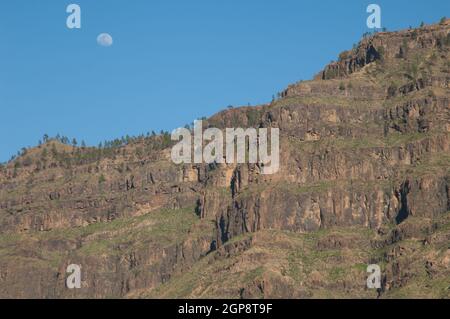 Luna su una scogliera del Parco Naturale Pilanconi. San Bartolome de Tirajana. Gran Canaria. Isole Canarie. Spagna. Foto Stock