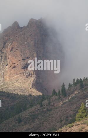 Risco Chirimique nella nebbia. Il Parco Rurale di Nublo. Tejeda. Gran Canaria. Isole Canarie. Spagna. Foto Stock