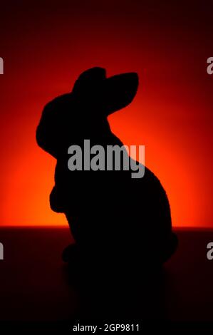 Una silhouette di coniglio furry durante le tonalità rosso e arancione dell'alba. Foto Stock