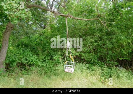 I bambini di oscillare su un ramo di un vecchio albero. Bambini il tempo libero in giardino. Foto Stock