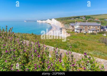 Vista delle scogliere di gesso di Seven Sisters da Birling Gap, Eastbourne, East Sussex, Inghilterra, Regno Unito, Europa Foto Stock