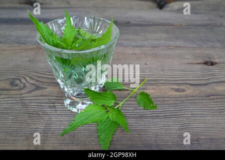 tisane fresche di ortica e foglie fresche di ortica. Una tazza di tè di ortica con ortiche fresche sul tavolo scuro. Foto Stock