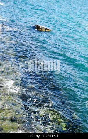 Le alghe sulla spiaggia. Le onde del mare lavare le alghe sulle rocce Foto Stock