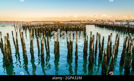 Vista del porto di Portland dall'Eastern Promenade Trail a Portland, Maine Foto Stock