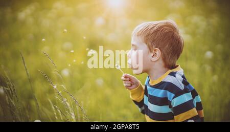 Felice ragazzo che soffia sulla palla bianca del dente d'leone alla soleggiata serata estiva. Bambini all'aperto nella natura Foto Stock