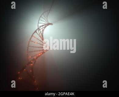 Molecola di DNA con retroilluminazione. Codice genetico, molecole elicoidali. Foto Stock