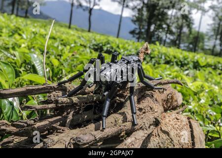 trasformatori in miniatura di robot usati Foto Stock
