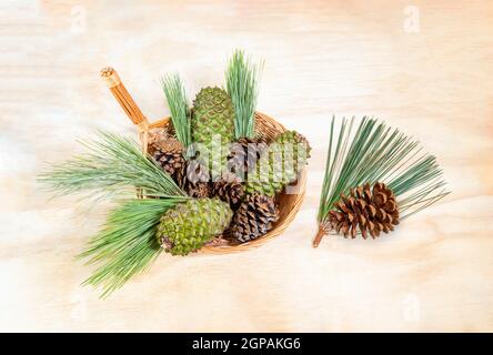 Coni di pino, verdi e marroni, in un cestino di vimini su sfondo di legno chiaro. Spazio copia. Foto Stock