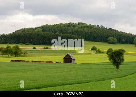 Piccola capanna di legno nella verde campagna collinare di Baden Wuttenberg con alberi e prati, sparato sotto cielo nuvoloso ma luminoso vicino a Geisingen, Germania Foto Stock