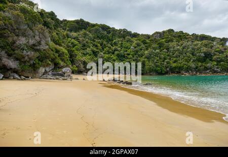 Paesaggio costiero soleggiato all'Abel Tasman National Park in Nuova Zelanda Foto Stock