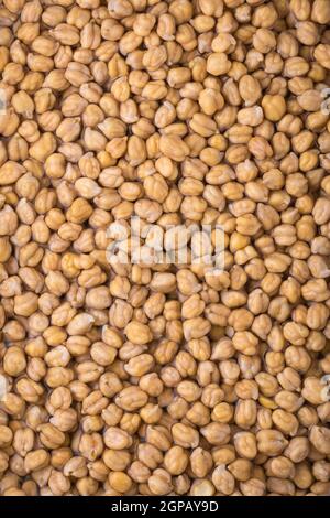 ceci secchi o grammi immersi in acqua, noti anche come fagioli garbanzo o piselli egiziani, fagioli lunghi ammolliti per tutta la notte prima della cottura, primo piano Foto Stock