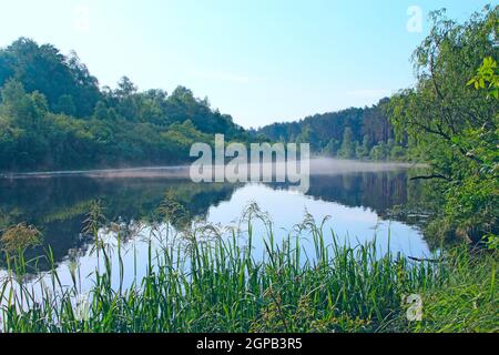 Alba mattina sul fiume. Meraviglioso paesaggio estivo. Il fiume è coperto di nebbia all'alba. La foresta si riflette nel fiume in estate Foto Stock