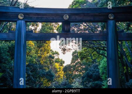 Torii dell'immagine. Luogo di tiro: Area metropolitana di Tokyo Foto Stock