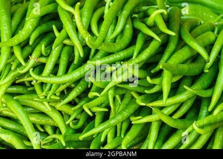 abbondanza di peperoni verdi lunghi. verdure fresche e biologiche al mercato degli agricoltori. raccolta stagionale di peperoni. carta da parati. Foto Stock