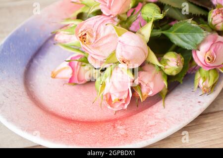 bouquet di rose di tè di garofano rosa su piatto sfumato rosa e viola da vicino Foto Stock