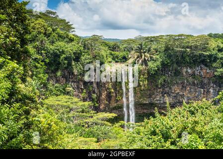 Scenic Chamarel cascate nella giungla dell'isola di Mauritius Foto Stock