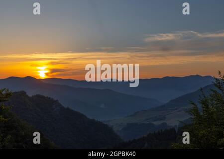 Passo della Braccina, Parco Nazionale foreste Casentinesi, Monte Falterona, Campigna (Parco Nazionale delle foreste Casentinesi, Monte Falterona e campi Foto Stock