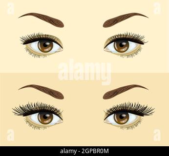 estensione ciglia. . Prima e dopo effetto. Bellezza occhio aperto con ciglia corta e lunga illustrazione vettoriale. Illustrazione Vettoriale