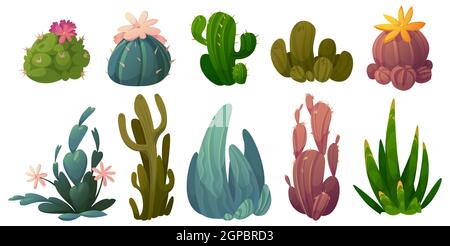 Set di cactus, fiori di cactus del deserto stetsonia, carnegia, selenicereus e rhipsalidopsis con saguaro o opuntia. Fumetti fiorenti succulenti con foglie di prickly verde e fiori illustrazione vettoriale Illustrazione Vettoriale