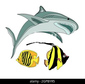 PESCI DELL'OCEANO ATLANTICO. ILLUSTRAZIONE VETTORIALE MONDO SUBACQUEO. SQUALO, PICCOLO PESCE A STRISCE. ACQUARIO. Foto Stock