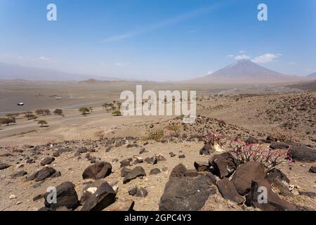 Il Lago Natron area paesaggio, Tanzania, Africa. Ol Doinyo Lengai. Montagna di Dio. Panorama africano Foto Stock