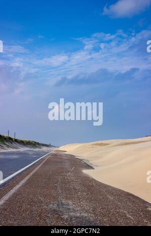 Le dune di sabbia si spostano lungo Ocean Boulevard a nord di South Padre Island, Texas. Foto Stock