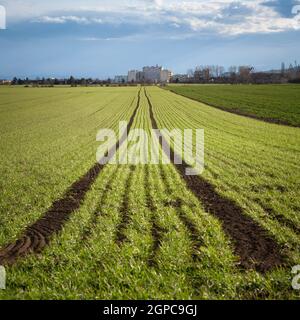 Tracce su un campo agricolo vicino a un villaggio Foto Stock