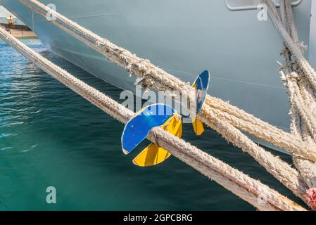 Marino Guardia di ratto sulla cima di ormeggio della nave passeggeri Foto Stock