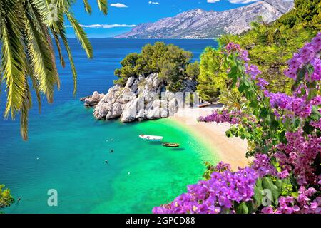 Idillica spiaggia Punta Rata di Brela vista aerea, Makarska riviera della Dalmazia, Croazia Foto Stock