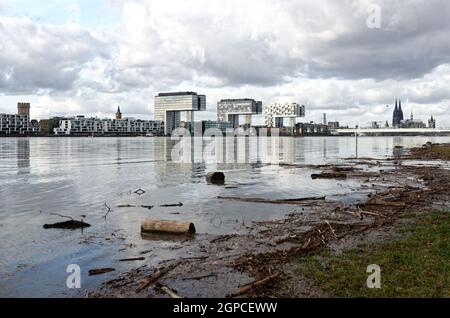 Colonia, Germania - 04 febbraio 2021: Alluvione del fiume reno a colonia Foto Stock